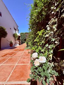 Comfortable apartment near the sea