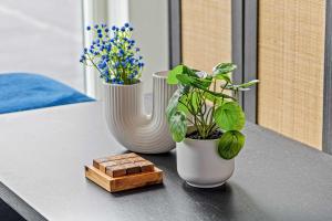 Cozy Studio Escape Near Downtown Minneapolis