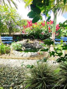 Finca San Miguel Filandia