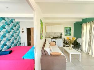 Appartements Maison 10 Cosy T2 avec jardin Jacuzzi : photos des chambres