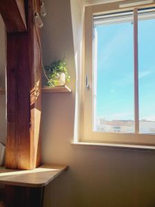 Appartements NEW La Bulle de Soie Lyon Villeurbanne : photos des chambres