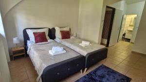 Apartmán Hradec Králové - U Bílého koně