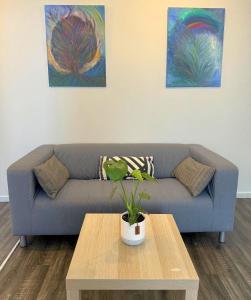Appartements T2 Entierement neuf, Central : photos des chambres