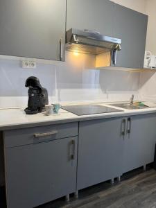 T2 Entièrement neuf, Central