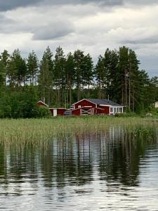 Swedish idyll, alp around the corner!