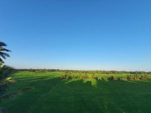 Villa Emerald & YALA safari