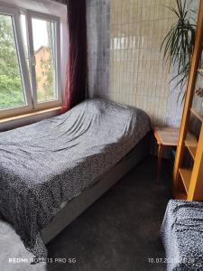 your room in a three-room apartment with a shared kitchen, bathroom, and toilet