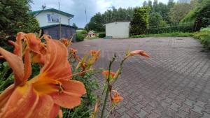 Agroturystyka nad morzem