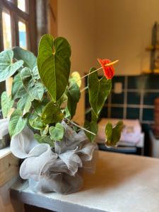 Casa Descanso e Natureza II