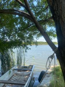 Kuca za odmor-Tisa Hideaway