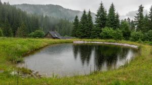 Chata DIANA - Kraviarky