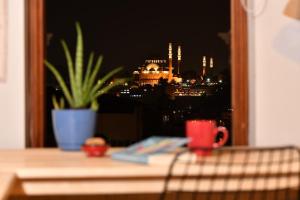 Historical Flat Unique Terrace AC in Beyoğlu Galata