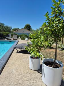 Villas Villa contemporaine de standing avec piscine : photos des chambres