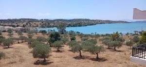 Pale Orb Properties Porto Heli