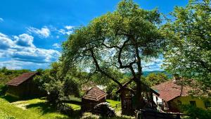 Etno kuća Parče neba