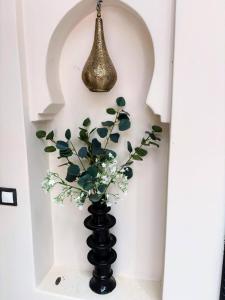 Riad Perles dAnnellia