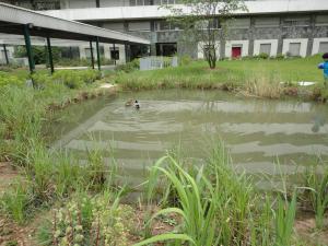 Apartment Next To Eiffel Tower