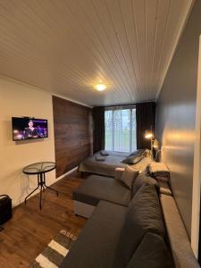 Männikumereääre with sea view and private beach