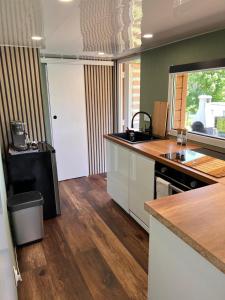 Borzygniew, Borzyraj 1