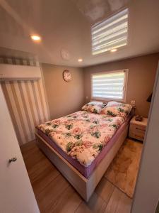 Borzygniew, Borzyraj 1