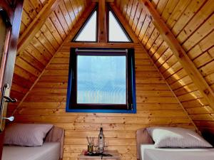 Casa Șoimului - A-Frame