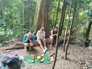 Jungle treking & Jungle Tour if you want to stay here,you must book treking only with us