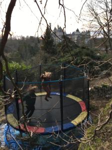 Maisons de vacances Vue imprenable a Pierrefonds : photos des chambres