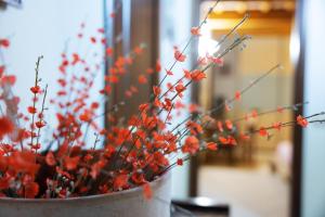 Rifugio San Bartolo - Gabicce Vallugola