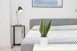 CasAchille Mini Studio