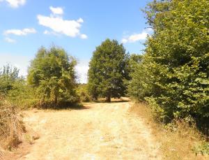 Villas Apple Barn Cottage 5 Bedrooms : photos des chambres