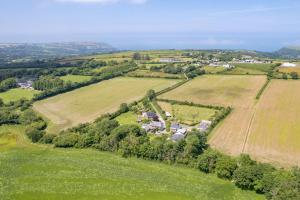 Clover at Gorslwyd - Sound Retreat