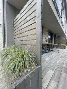 Villa Riviera Apartament z tarasem Poddąbie