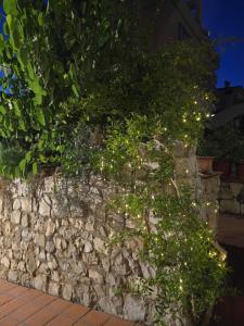 Les estrelles