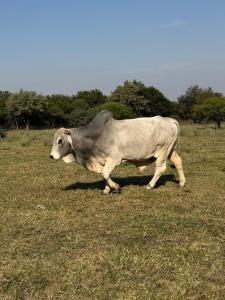 ReVacations - Milk n Honey