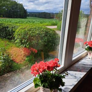 Country villa in Våxtorp close to skiing at Vallåsen bikepark, Kungsbyggets Adventure Park and Båstad Tennis