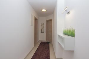 Apartments Ljubica