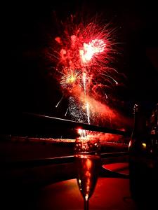 Les cygnes de Criel-sur-Mer