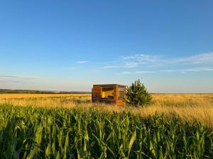 Maringotka uprostřed ničeho