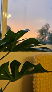 Lumiére Soleia 1BR Sunset View Up to 6 Guests