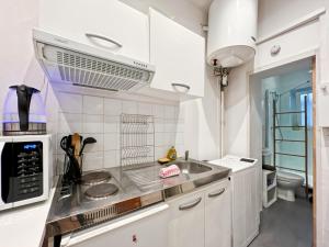 Functional apartment, Belleville, Paris 11