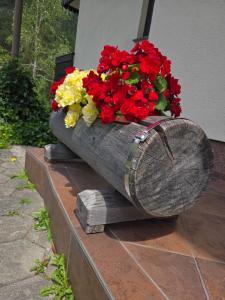 Apartment in the heart of nature 