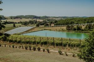 Maisons de vacances Maison de caractere, vue sur lac prive et vignes : photos des chambres