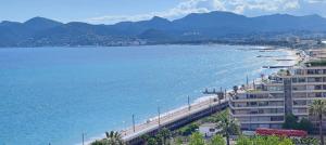 CANNES PROCHE GARE STUDIO VUE MER - Accès privé à la Plage