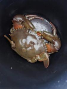 Reel Relax Retreat at Dora Creek