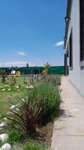 Cabañas Del Toledano