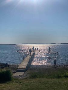 Cottage With Fjord View In Lovely Vellerup