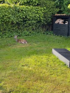 Cottage With Fjord View In Lovely Vellerup