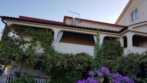 Apartment in Lopar - Insel Rab 17757