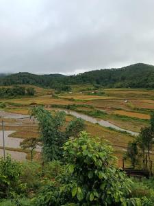 Măng Đen Farm Stay A Vũ