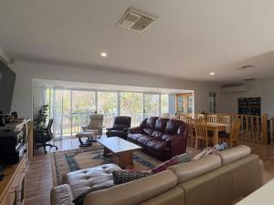 Pelicans Retreat Falcon